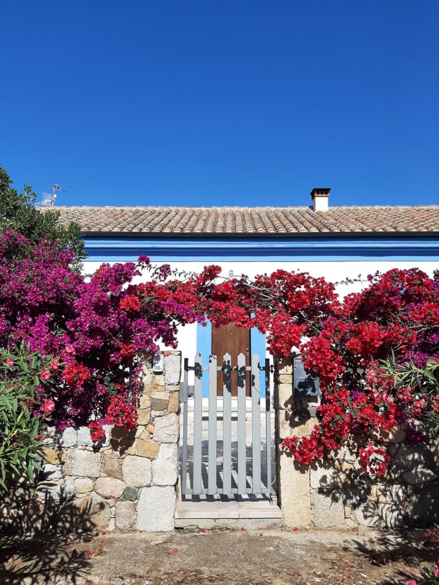 Bed and Breakfast Casale Diletta Castiadas Exteriér fotografie