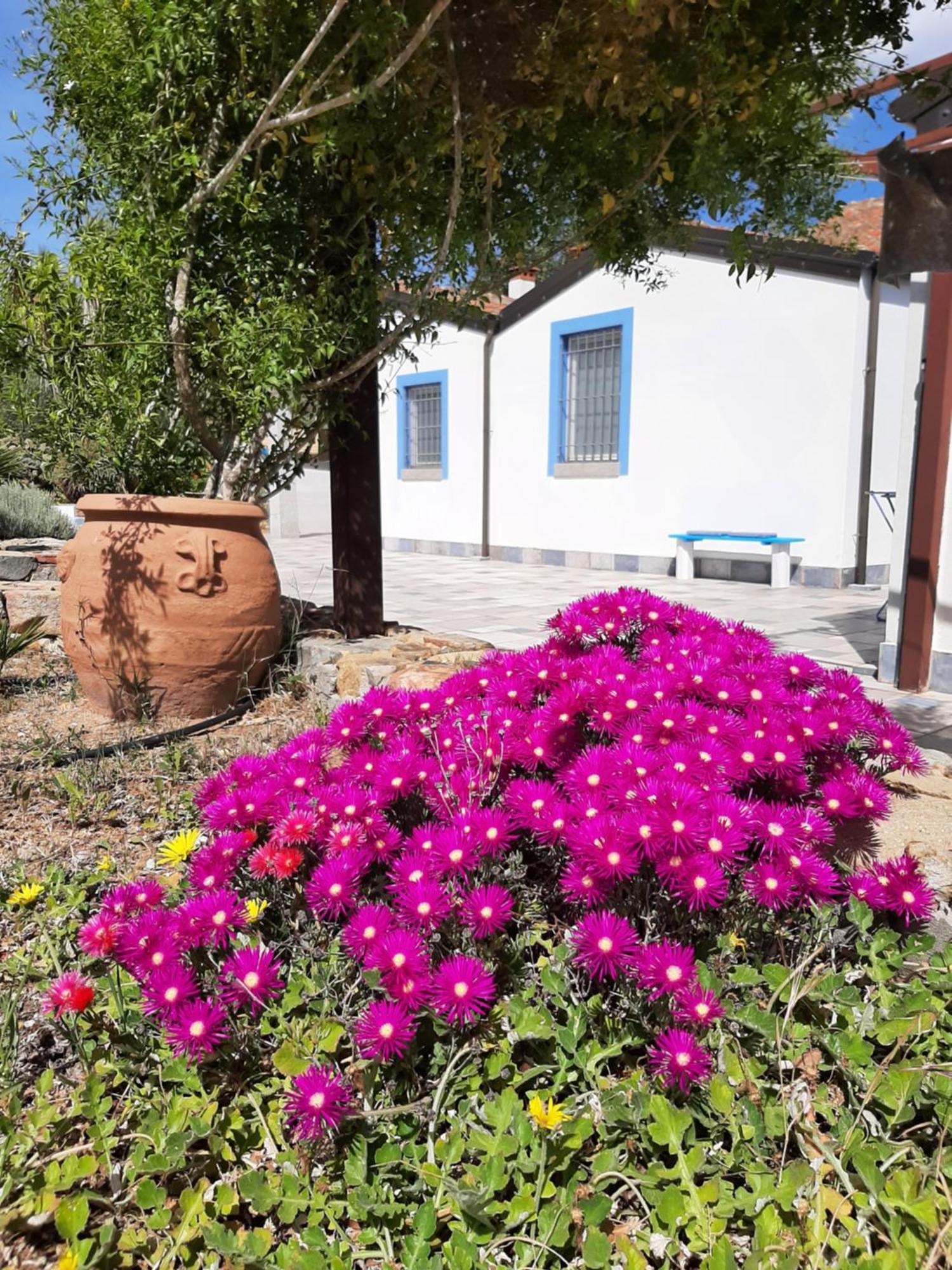 Bed and Breakfast Casale Diletta Castiadas Exteriér fotografie